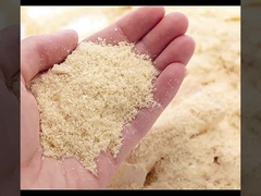 Da fábrica acanelado dos painéis de parede de WPC venda direta à prova de fogo e umidade - prova