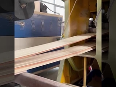 Da fábrica à prova de som dos painéis de parede de WPC impermeável direto e umidade - prova